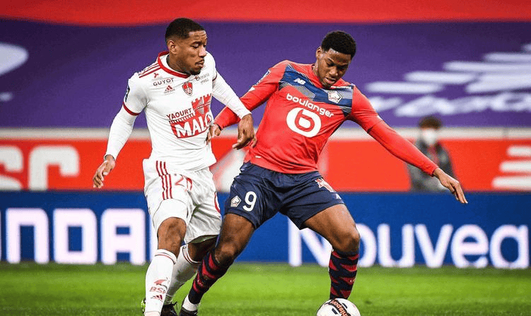 健康管理的 健康管理的