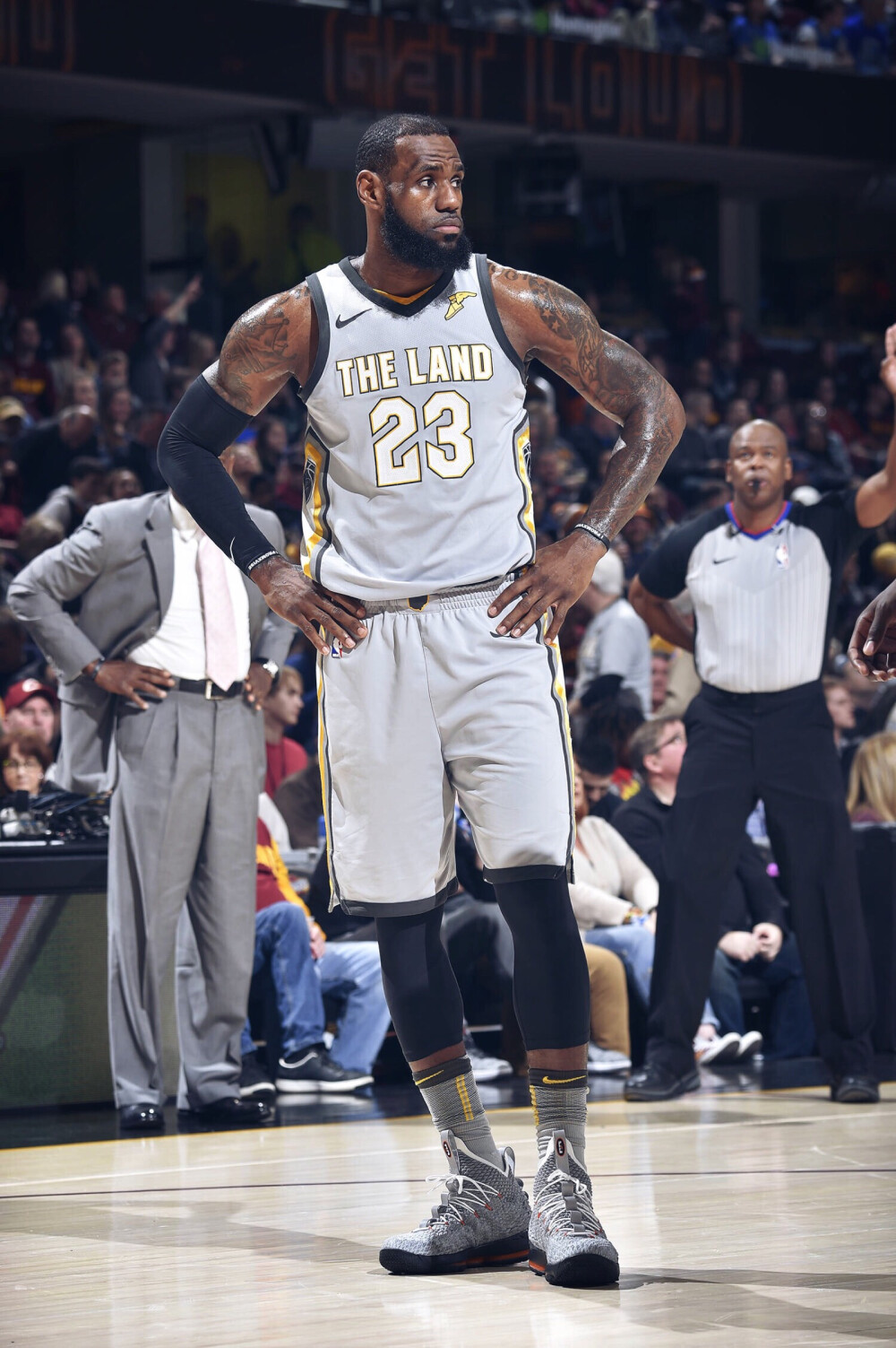 在有经验的 在有经验的